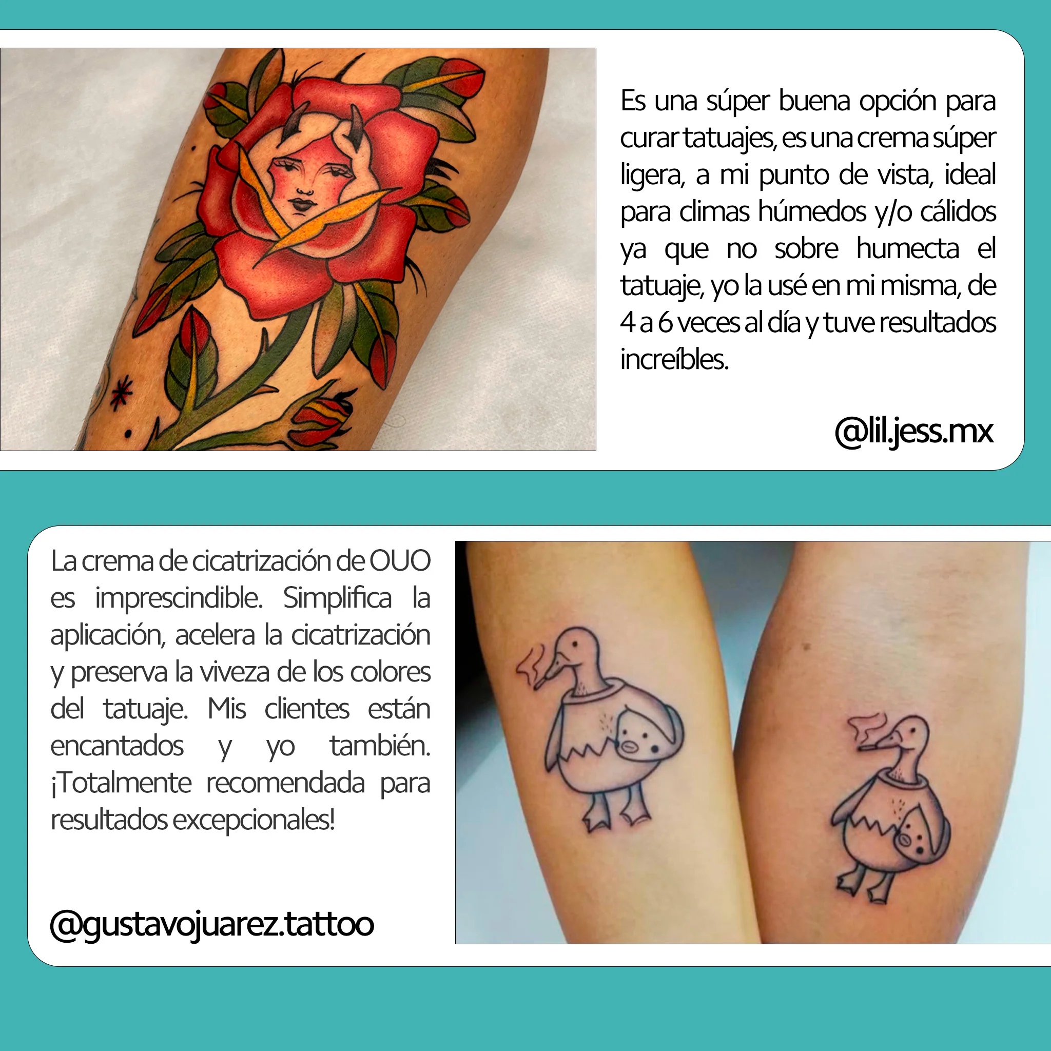 Imagen del producto 10